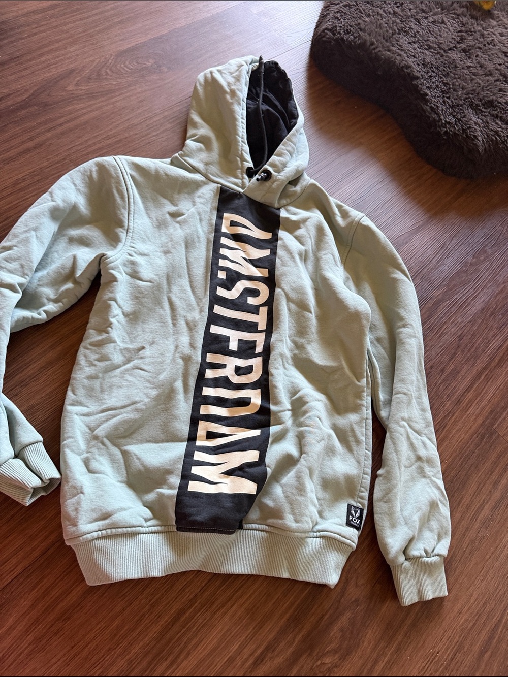 Fox Light Sage Hoodie with Black Amsterdam Front Panel